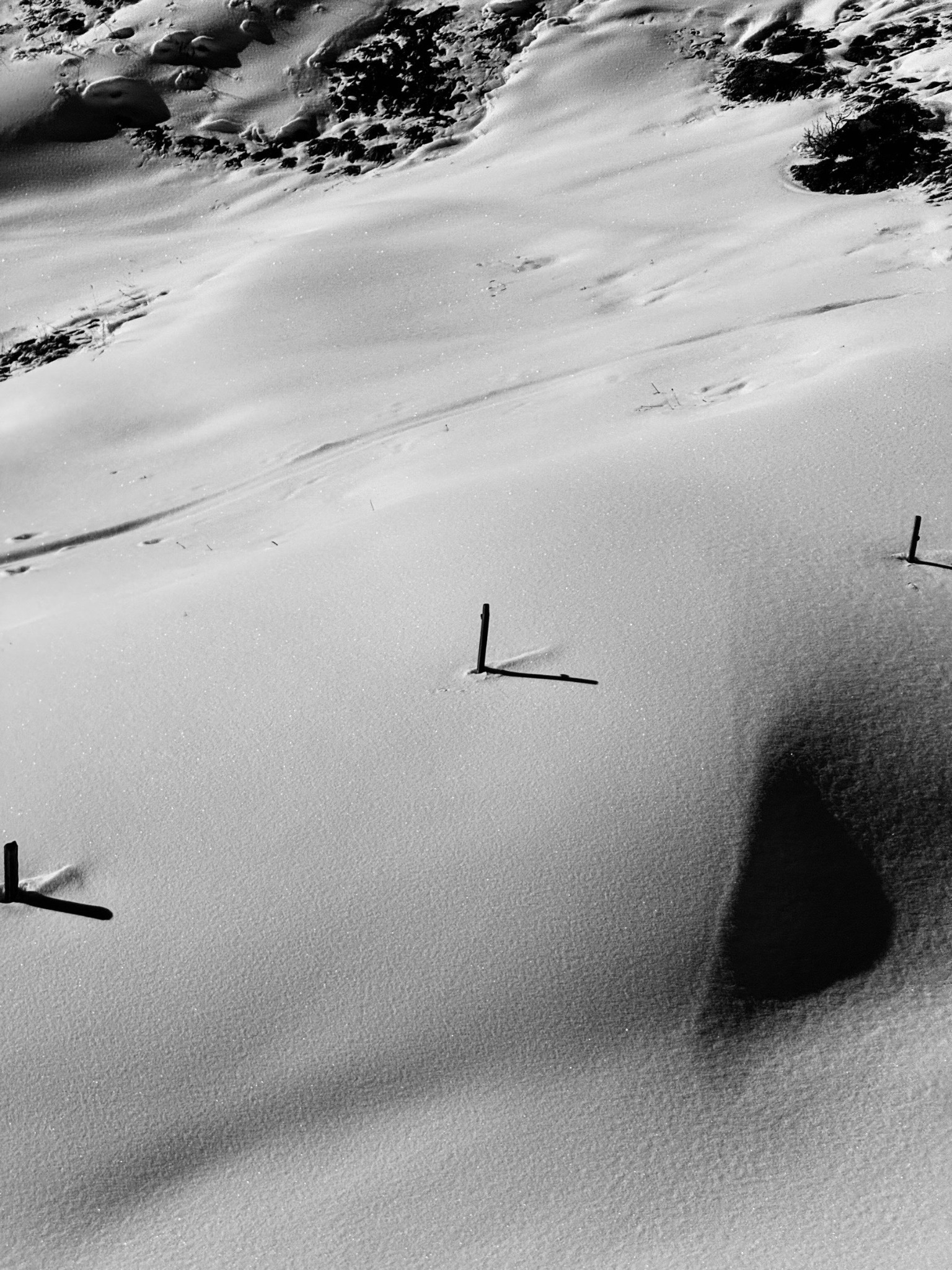Snowblanket