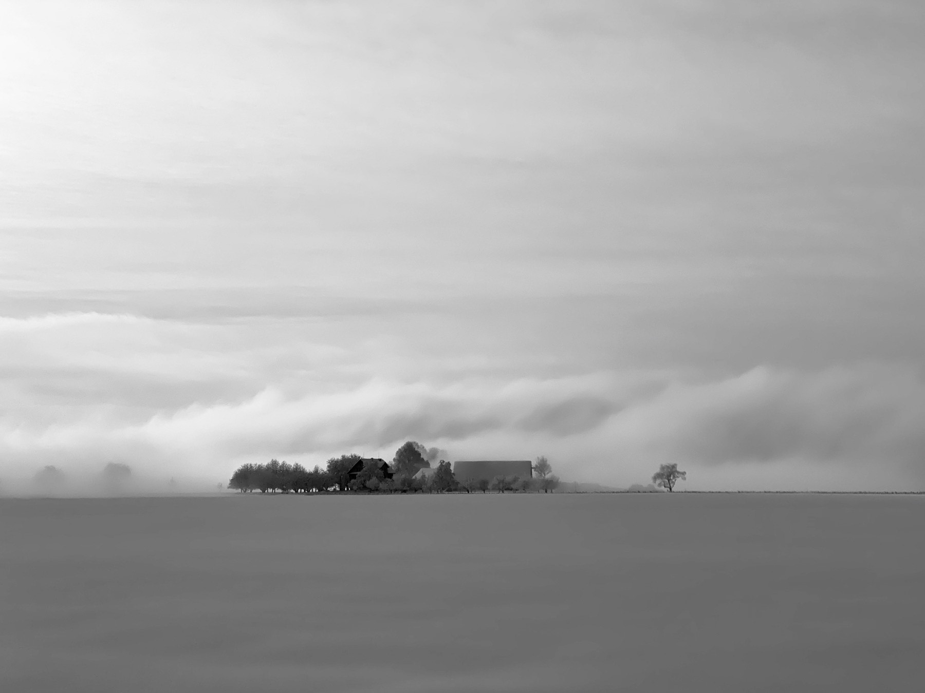 Winter Wonderland